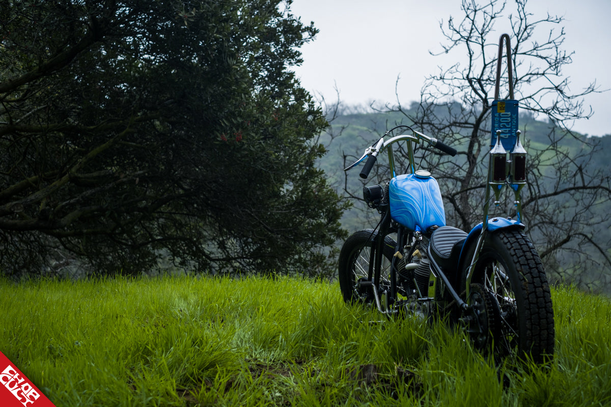 Panhead motorcycle rear angle