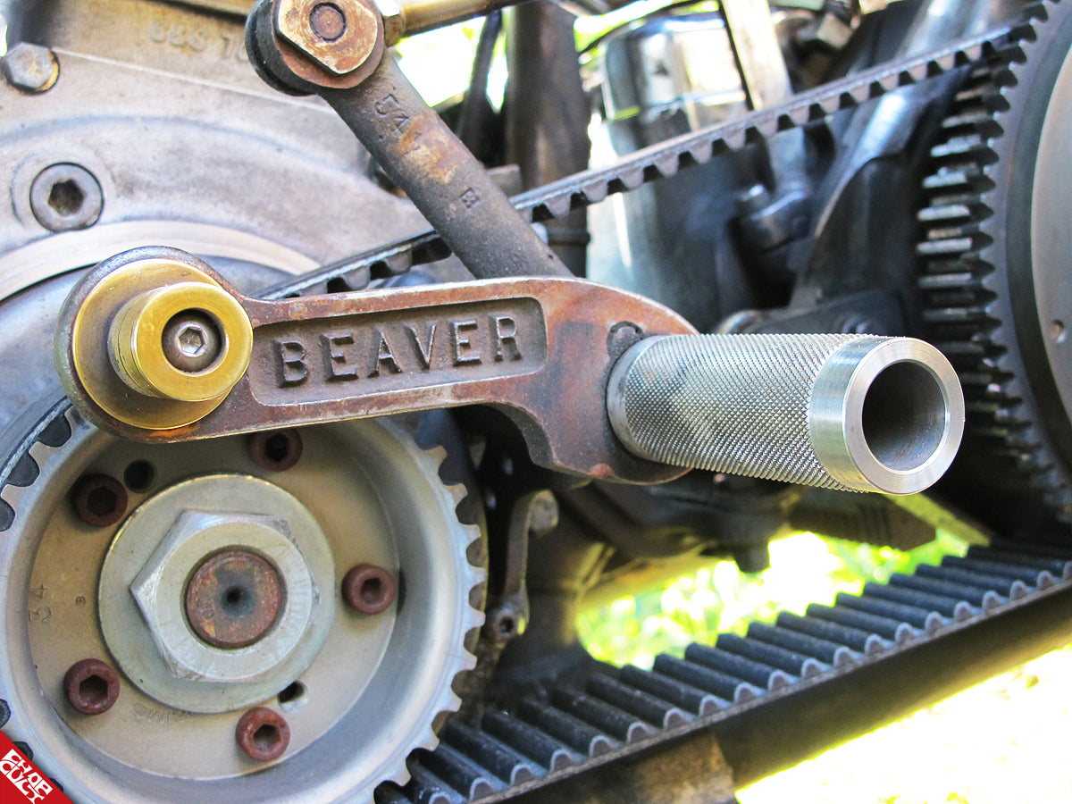 A close up of the beaver shifter